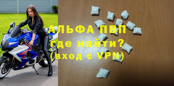 гидра Белокуриха