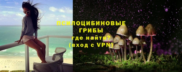 гидра Белокуриха