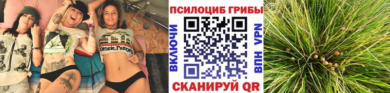Галлюциногенные грибы GOLDEN TEACHER  даркнет как зайти  Южноуральск 